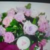 fatma.assel8