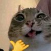 user12300000_0