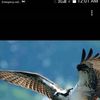 irfankhurram.irfa