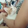 mama06003