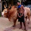 kraiwit.chaiphol