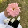 marwa_ak_99