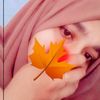 missu.46