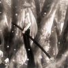 raidesmallphotgraf