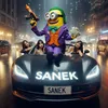 sansanich3004