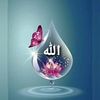 hayat.alamale
