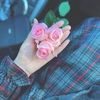 elham.saad77