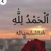 halima4773