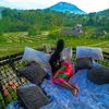 wilddream10
