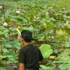 thurainwin197