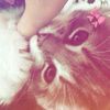 mulandarii__1