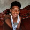 Alfi wabula