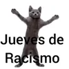 jueves_de_racismo4