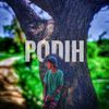 _podi_q