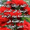 user59086177966157