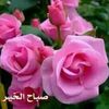user47432155749215