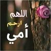 user6255461048183
