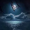 ana.cvaz77