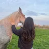 honya_h_zangana