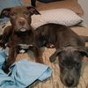 tank.and.blue.and.storm