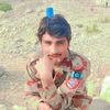 tiagarbhattani