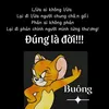 hoaonpig617