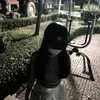 meomeocat03