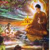 ruvindu.nawanjana3