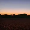 randomduden1