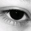 molia_3435