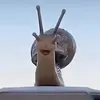 ysisklik