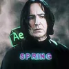 springsnape