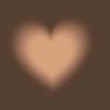 shahd.kotp