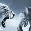hu.cng.nguyn69
