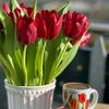 amal.ahmad5844
