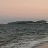 huy230902