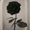 guly.rash001