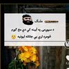 user8860601577193
