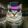 pipmaz0