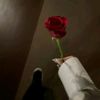 user7130705660034