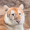 mimi_mimi123456