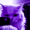 alleatoria_st