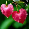user044263262