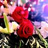 aneeda.remhan.ana