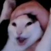 _eeeeeccccchhhhhooo_