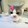 rufy0828