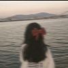 donia80163