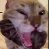 luckynfandc