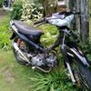 fery.328