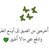 user4054154483060